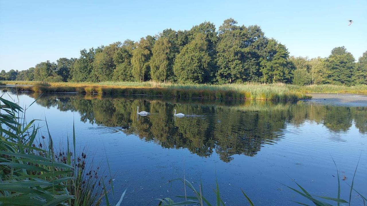 Helle Ferienwohnung In Nettetal Bei Venlo Εξωτερικό φωτογραφία