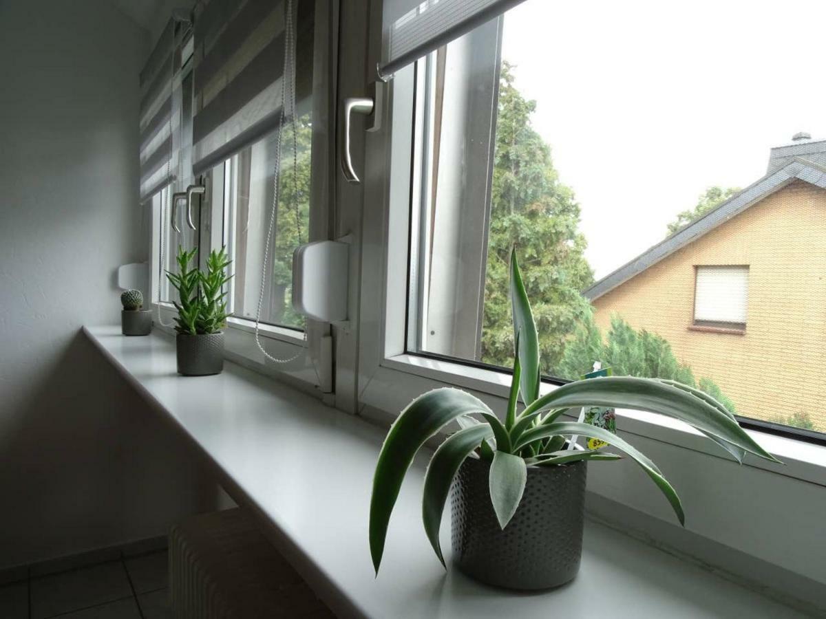 Helle Ferienwohnung In Nettetal Bei Venlo Εξωτερικό φωτογραφία